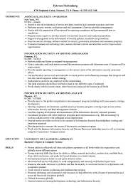 Information security resume examples better than 9 out of 10 other resumes. Security Awareness Resume Samples Velvet Jobs