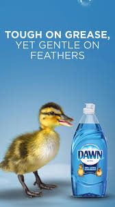 From your stainless steel appliances, to your greasy hand tools, check out our videos and see what dawn can do for you. Pin On Rolex Watches For Men