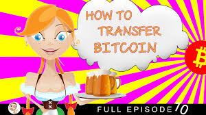 You can scan the qr code or cut and paste your private key and everything in that wallet will be transferred into the new one. How To Transfer Bitcoin From One Wallet To Another