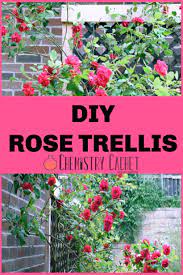 Easy Diy Rose Trellis Only A Few Supplies Needed Climbing Roses Trellis Rose Trellis Diy Roses