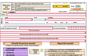 BilanÈ› Contabil Anual La 31 12 2020 Anaf A Publicat Pdf Ul Inteligent Necesar Pentru Generarea Formularelor In 2021 Cabinetexpert Ro Blog Contabilitate