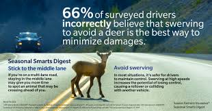How much does farmers renters insurance cost? Farmers Insurance Finds Accidents With Animals Spike In The Fall Months Sep 11 2019
