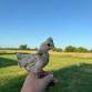 Mayes County Swap event image