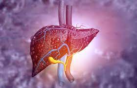 Sep10 2020 Getty 1178017792 Diseasedliver Fatty Liver Liver Disease Metformin