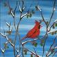 Winter Cardinal event image