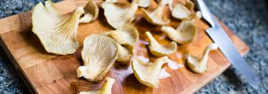 Oyster mushrooms, olive oil, vegetable broth, celery, pasta, salt and 8 more wild oyster mushroom quiche cooking to entertain black pepper, eggs, white onion, butter, butter, ice, goat cheese and 6 more smoky mexican oyster mushroom soup diversivore 5 Easy And Delicious Oyster Mushroom Recipes Grocycle