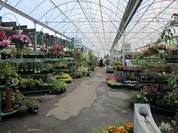The Greenhouse Garden Center Carson City Garden Center Garden Greenhouse
