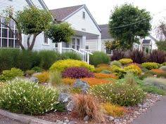 These front yard landscaping suggestions are perfect for the homeowner looking for some landscaping inspiration that people of any skill level can create. 35 Grassless No Mow Yards Ideas Front Yard Yard Landscaping Garden Design