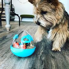 However, this is an area of pet products that is in the middle of a rapid this gives it an edge for very smart dogs such as border collies and australian shepherds. Pin On Best Puzzles Toys