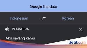 Cara Pakai Google Translate Terjemahan Percakapan Lewat Iphone Android