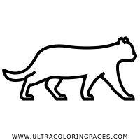 Fun, easy & free to print. Puma Coloring Page Ultra Coloring Pages