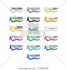 Stephen kelly, 2018 head and neck cancer Cancer Ribbon Vector Vector Photo Free Trial Bigstock