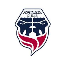 Fortaleza live score (and video online live stream*), team roster with season schedule and results. Fortaleza Fc Demo 2waysports For Android Apk Download