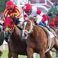 Sandy Lane Gold Cup event image
