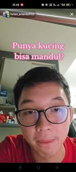 Apakah Kucing Bisa Membuat Mandul? Penjelasan Brian