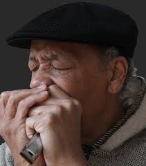 Wallace Coleman's Living Blues At Lakewood Public Library: A Free Concert! 