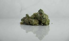 Hanfblüte og sour kush greenhouse. Cbd Bluten Mit Therapeutischer Wirkung