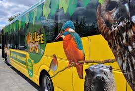 We did not find results for: Wildlife Themed Yellow Buses Vehicle Set To Travel In Conurbation Bournemouth Echo