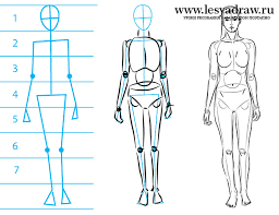 Bildergebnis Fur Proportionen Zeichnen Mensch Menschen Zeichnen Zeichnen Madchen Zeichnen