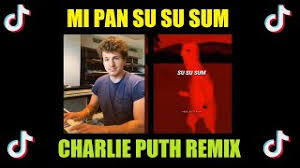 Mi Pan Su Su Sum Charlie Puth Remix Tiktok Song Youtube
