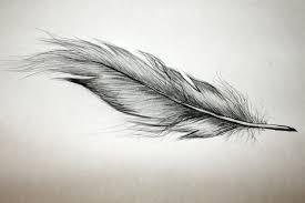 Hervorzuheben ist hierbei vor allem die metamorphose der raupe zum schmetterling, der oftmals hintergrund vieler tätowierungen ist. Feder Tattoo Bedeutung Und Vorlagen Tattoos Zenideen Feather Tattoo Meaning Feather Tattoo Feather Tattoos