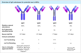 But instead, i play a happy, joyful, and singing french chef. Site Selective Modification Strategies In Antibody Drug Conjugates Chemical Society Reviews Rsc Publishing Doi 10 1039 D0cs00310g