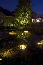 Aquascapes Landscape Lighting Combination Very Nice Lighting Used In This Water Feature Traditional Landscape Landscape Lighting Cool Landscapes