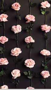 Flowers Lockscreens Tumblr Diy Photo Booth Backdrop Picture Backdrops Flower Wallpaper