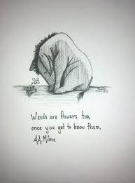 All The Disney Feels 14 Photos Pooh Quotes Winnie The Pooh Quotes Friends Quotes