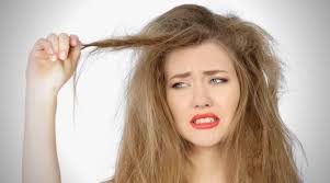 Hot oil is one of the best home remedies for dry hair. What Causes And Home Remedies Of Dry Hair Quillcraze