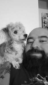 Introduction of pet dogs