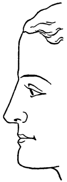This time, try to capture the proportions and characteristics of the subject. How To Draw Human Faces In Profile Side View With Easy Method Tutorial How To Draw Step By Step Drawing Tutorials