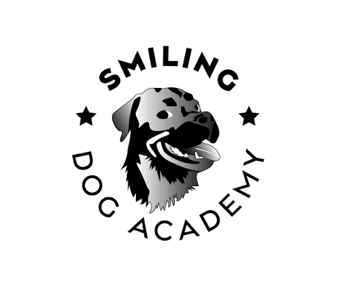 Smile Dog Academy - İstanbul Sancaktepe