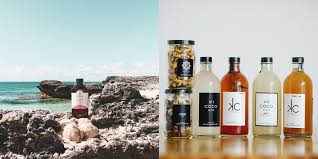 Kombucha scobys, regularly certified and monitored. The Comprehensive Guide To Kombucha Brewers In Malaysia With Price