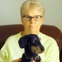 HOW THE END TIMES ENDED IN AD 70: An Optimistic View of The Last Days by  Micah J. Stephens