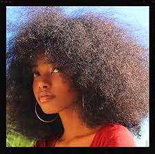 Tlc Naturals On Twitter Poofy Hair Natural Hair Styles Hair Inspiration