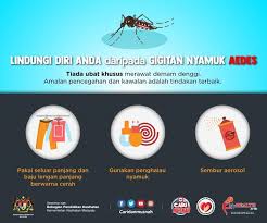 Demam adalah saat kondisi suhu tubuh berada di atas 38 derajat celsius. Karangan Pendek Pt3 Langkah Mencegah Nyamuk Aedes