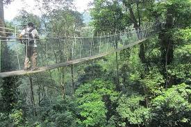 Forest research institute malaysia (gps: Forest Research Institute Malaysia Frim Nature Trekking Tour From Kuala Lumpur Picture Of Forest Research Institute Malaysia Frim Nature Trekking Tour From Kuala Lumpur Tripadvisor