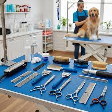 What to Expect in a Dog Grooming Certification Program