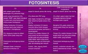  enzim rubisco yang menyatukan co2 dengan rubp dalam proses awal assimilasi, juga dapat mengikat o2 pada saat yang bersamaan untuk proses fotorespirasi ( fotorespirasi adalah respirasi,proses pembongkaran karbohidrat untuk. Bambang Suwignyo Ph D Pdf Download Gratis
