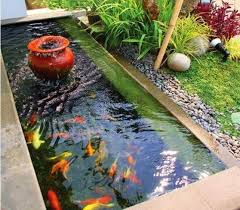 Kolam Hias Depan Rumah Minimalis Kolam Ikan Kolam Tanaman Hijau