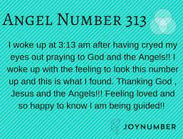 Angel Number 313 Be Prepared To Expand Your Personal Spirituality Joy Number Angel Number Meanings Spirituality Angel Numbers