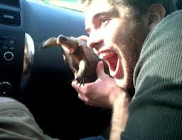 O'NEILL, Sean Shamus