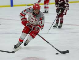 High school boys volleyball: (2) Chardon vs. (5) Independence regional  final capsule