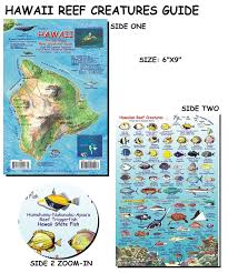 Hawaii Reef Creatures Guide Fish Card
