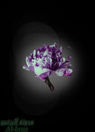 بروفايل روعة 2 images for facebook profile best facebook celestial