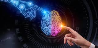 Read on for some hilarious trivia questions that will make your brain and your funny bone work overtime. Trivia Quiz Concepts And Principles Of Biology Proprofs Quiz