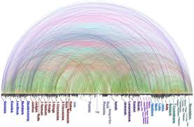 Pin By Allen Hunter On Bible And Theology Reference Bible Bible Sermon Illustrations