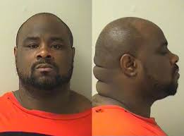 Three Arrested in Streamwood Following Attempted Vehicular Hijacking,  Police Chase from Elgin