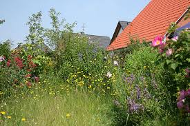 Ein sichtschutz aus pflanzen ist natürlich die schönste variante, um neugierige blicke von balkon, terrasse oder aus dem garten fernzuhalten. Nabu Gartentipp Vogelschutzgeholze Anlegen